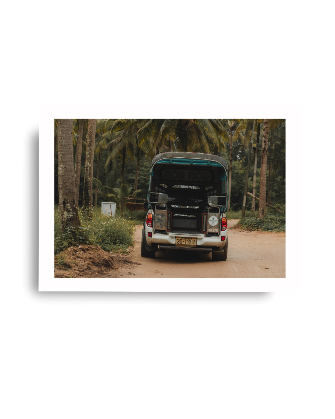 4x4 Palm