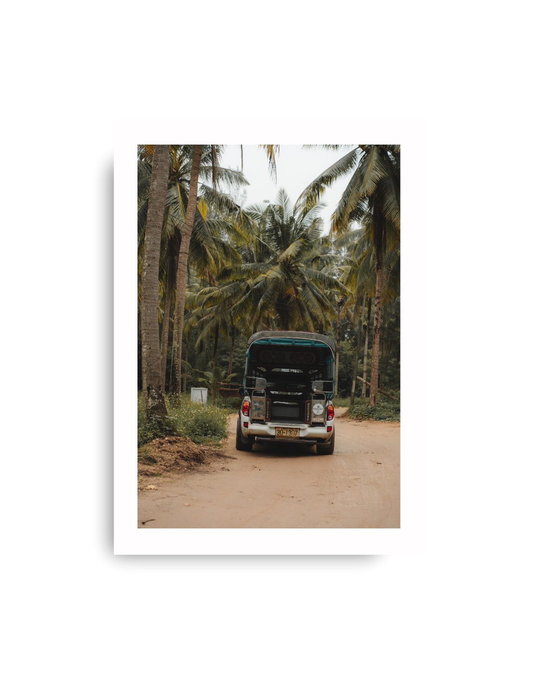 4x4 Palm
