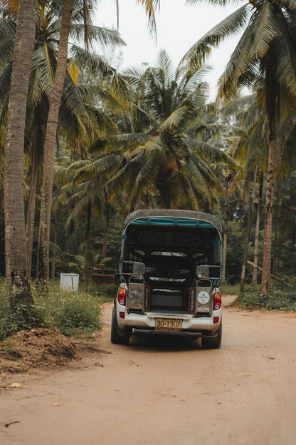 4x4 Palm