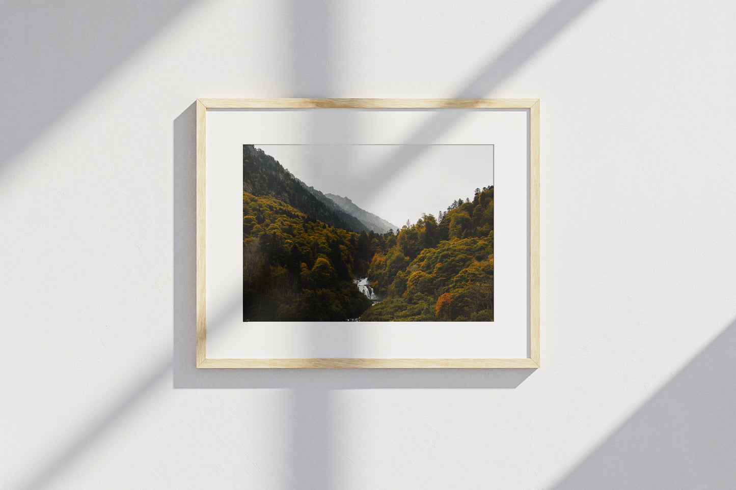 Forêt Pyrénéenne